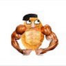 Profilbild von HPSWSM