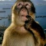namecannotbeblank's profile picture