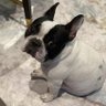 silky's profile picture