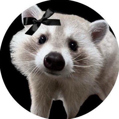 elliottsmjth's profile picture