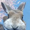 ラッキーママ's profile picture