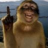 Internauta da Silva Sauro's profile picture