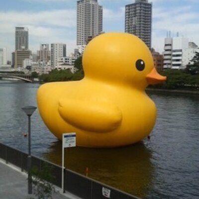 山口純平's profile picture