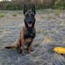 Meli Melo profil fotoğrafı