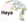 Фото профиля Haya
