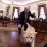 k // Joe Biden of twt 的头像