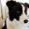 难 profil fotoğrafı