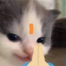 Profilbild von devaraaaaa