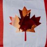 CanadaFirst's profile picture