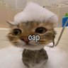 Abgo profil fotoğrafı