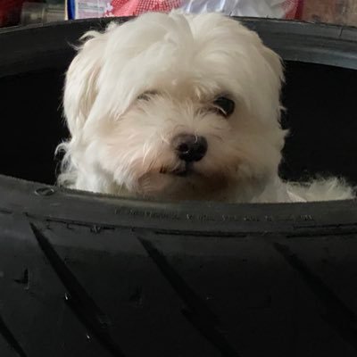 garage_178's profile picture