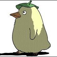tamaran_pr's profile picture