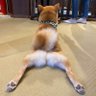 ふるぽん's profile picture