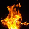 wwwocls12's profile picture