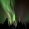 Фото профиля Duncan🇫🇮🇪🇺