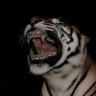 SLM's profile picture