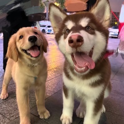 我的枪好长啊's profile picture