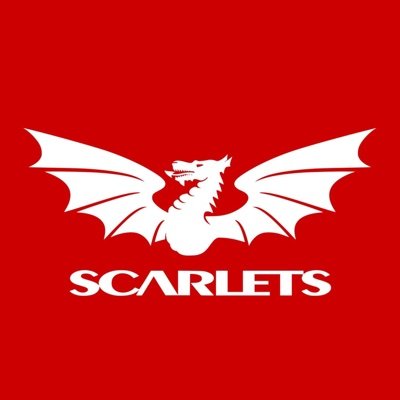 scarlets_rugby's profile picture