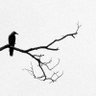 the_vine™ 的头像
