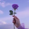 🦋🌹 的头像