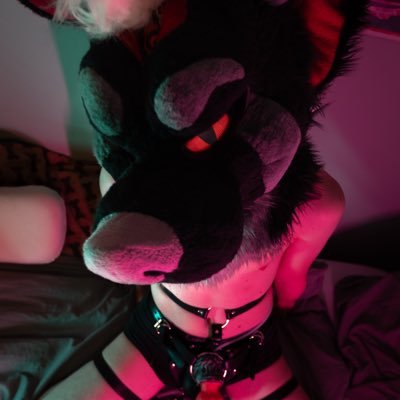 OhDeerOhBuck's profile picture