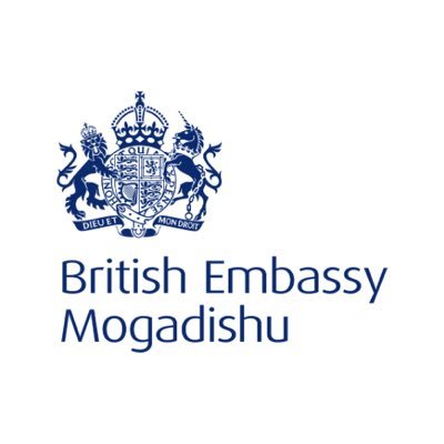 UKinSomalia's profile picture