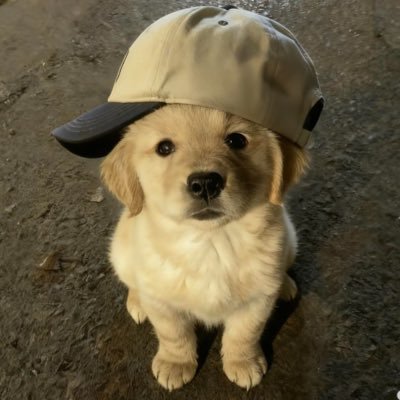 pinii18_'s profile picture