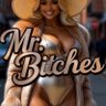 Mr Bitches ็ๅคดๅ