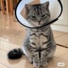 Фото профиля 超低温