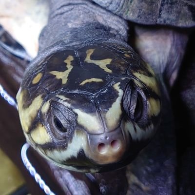 salvinii88's profile picture