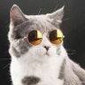 Вано Шаламов 9.0 -(резервный).'s profile picture