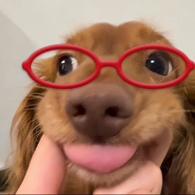 ก้อนกลม's profile picture