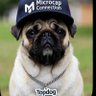 Tom Fedichin's profile picture