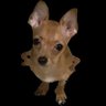 Cedce's profile picture