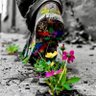 Profilbild von Trueme