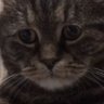 DF001's profile picture