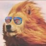 Troy's profile picture