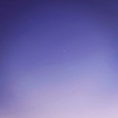lingyujiang7's profile picture