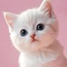 Esther's profile picture