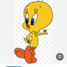 טוויטי על ספידים profil fotoğrafı