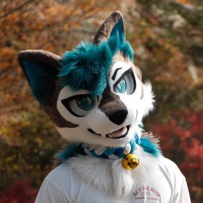 zyndawgg🇵🇱's profile picture