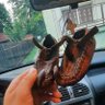Profilbild von ☦️Милан Ђорђевић☦️