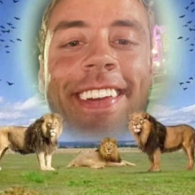 Henry Danisch's profile picture