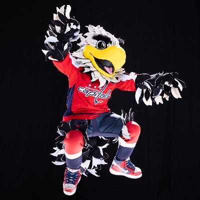 Slapshot's profile picture