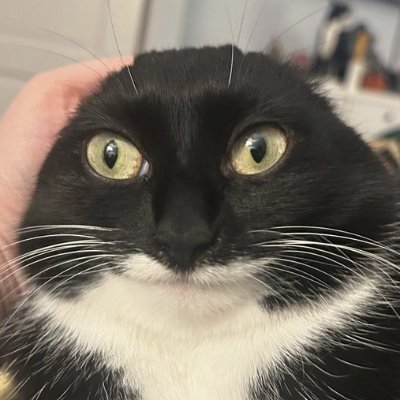 6guy online 🛡️'s profile picture