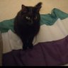 Pip McJock's profile picture