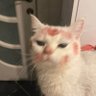 Profilbild von AT988