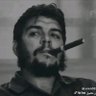 حرّ بلا سيد 的头像