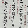 かむるちーー🤓 profil fotoğrafı