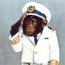 Фото профиля Macaco Moderno